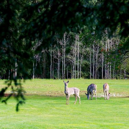 Bed and Breakfast Sleepy Creek Country Manor Bragg Creek Exteriér fotografie